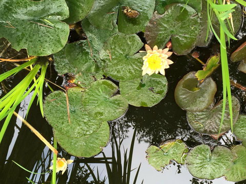 The Beach Bible Garden - Sydney Tourism 2