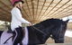 The Equine Club - thumb 1