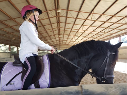 The Equine Club - Sydney Tourism 1