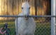 The Equine Club - thumb 2