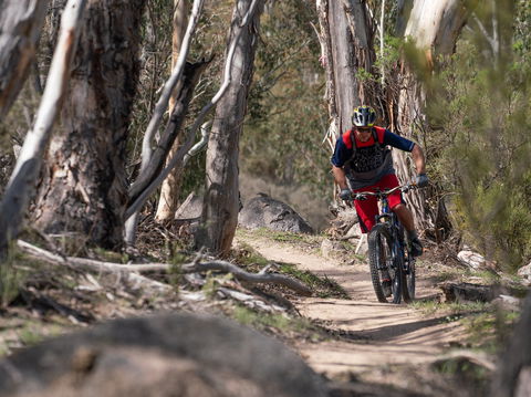 Thredbo Valley Track - Sydney Tourism 2