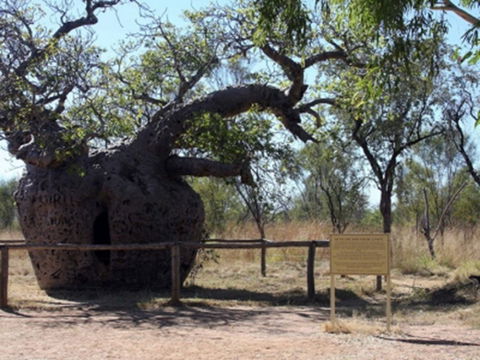 Time Walk, Windjana Gorge National Park - Sydney Tourism 2