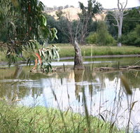 Tumut Wetlands - Sydney Tourism