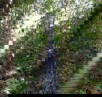 Walker Creek - Sydney Tourism