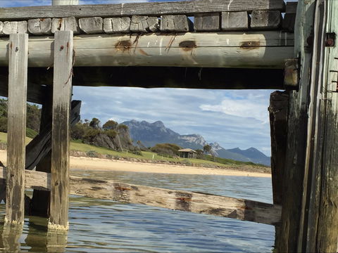 Whitemark Foreshore Picnic Area - Sydney Tourism 1