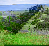 Wild Dog Barrier Fence - Sydney Tourism
