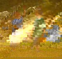 Wilsons River Experience Walk - Sydney Tourism