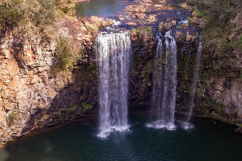 Rainforest & Waterfall Experience - Sydney Tourism 1