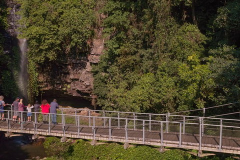 Rainforest & Waterfall Experience - Sydney Tourism 4