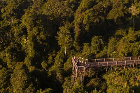 Rainforest & Waterfall Experience - Sydney Tourism 5