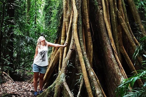 Rainforest & Waterfall Experience - Sydney Tourism 3