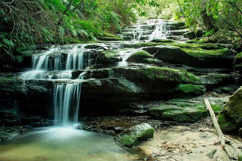 Ultimate Blue Mountains Waterfalls, Walks & Sunset PRIVATE Tour - Sydney Tourism 2
