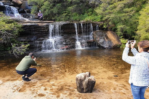 Ultimate Blue Mountains Waterfalls, Walks & Sunset PRIVATE Tour - Sydney Tourism 0