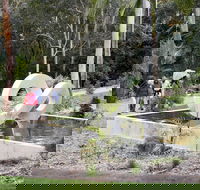 Maroochy Regional Bushland Botanic Garden - Sydney Tourism