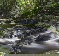 Protesters Falls Walking Track - Sydney Tourism