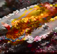 Wolf Rock Dive Site - Sydney Tourism