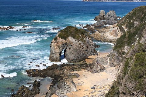 Narooma And Tilba Valley Private Tour - Sydney Tourism 8