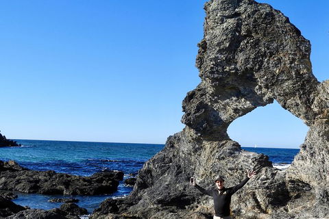 Narooma And Tilba Valley Private Tour - Sydney Tourism 4