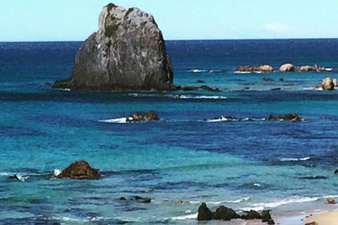 Narooma And Tilba Valley Private Tour - Sydney Tourism 9