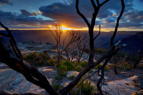 Ultimate Blue Mountains And Wildlife Tour - Sydney Tourism 0