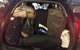 USam Hire Car Service - thumb 4