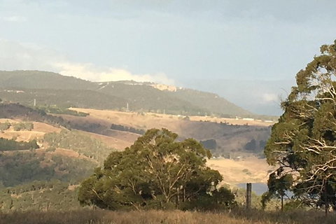 Interactive Farm Tours On A Beef, Lamb And Duck Farm - Sydney Tourism 1