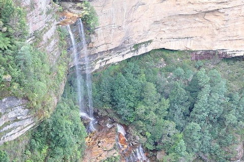 All-Inclusive Blue Mountains Tour In A Luxury Mercedes Sprinter - Sydney Tourism 9