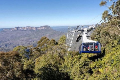 All-Inclusive Blue Mountains Tour In A Luxury Mercedes Sprinter - Sydney Tourism 11