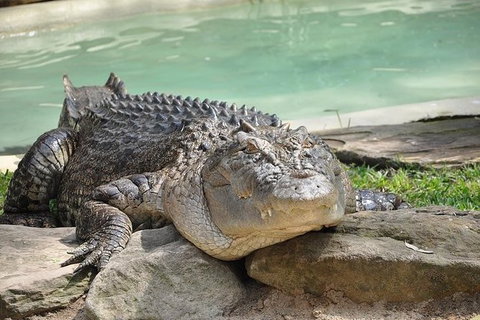 All-Inclusive Blue Mountains Tour In A Luxury Mercedes Sprinter - Sydney Tourism 7