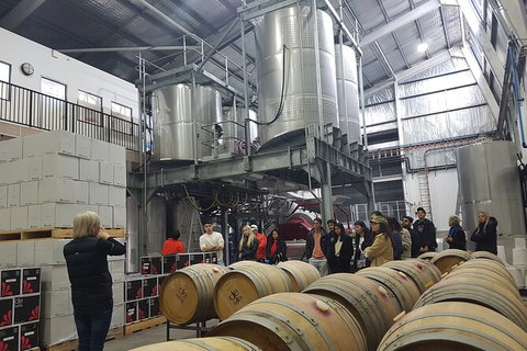 Hunter Valley Small Group Wine, Gin, Cheese & Chocolate Tour - Sydney Tourism 6