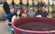 Hunter Valley Small Group Wine, Gin, Cheese & Chocolate Tour - thumb 0