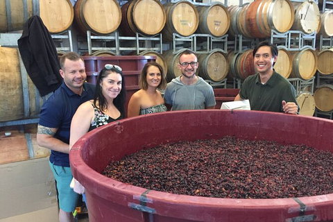 Hunter Valley Small Group Wine, Gin, Cheese & Chocolate Tour - Sydney Tourism 0