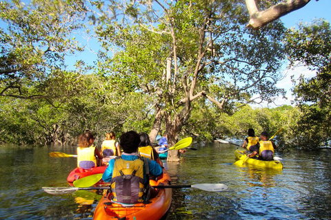 2-Hour Rental Kayak Double In Brunswick River - Sydney Tourism 2
