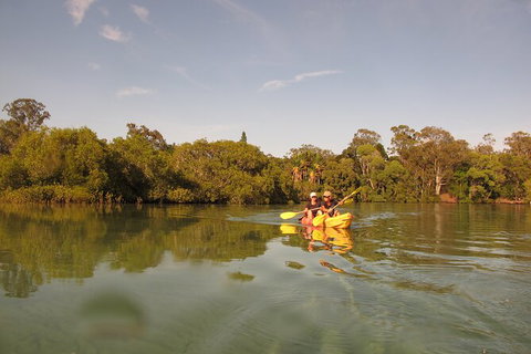 2-Hour Rental Kayak Double In Brunswick River - Sydney Tourism 5
