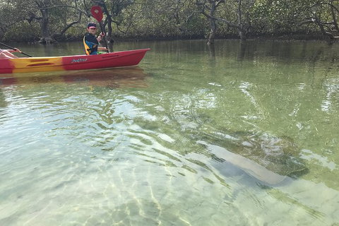 2-Hour Rental Kayak Double In Brunswick River - Sydney Tourism 6