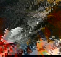 Byron Bay Sunset Rainforest Eco-Cruise - Sydney Tourism