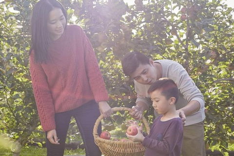 Blue Mountains Botanic Garden And Bilpin Tour From Katoomba With Cider Tasting - Sydney Tourism 1