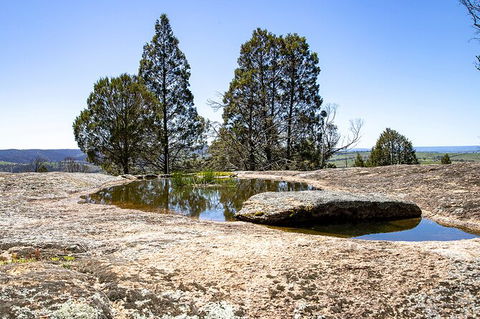 Bathurst Wine Trail Full-Day Private Tour With Tastings - Sydney Tourism 5