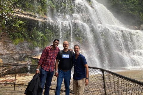 Blue Mountains Highlights & Wildlife Park - Sydney Tourism 4