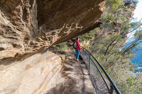 Blue Mountains Highlights & Wildlife Park - Sydney Tourism 0