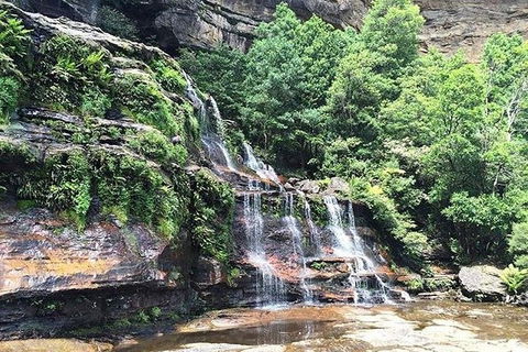 Blue Mountains Highlights & Wildlife Park - Sydney Tourism 8