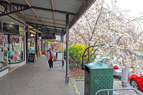 Blue Mountains Highlights, Wildlife Park And Scenic World Full Day Private Tour - Sydney Tourism 2