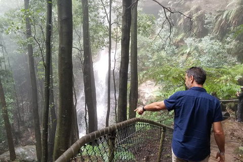 Blue Mountains Highlights, Wildlife Park And Scenic World Full Day Private Tour - Sydney Tourism 6
