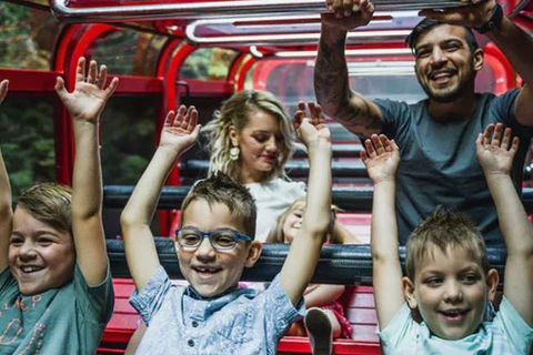 Blue Mountains Highlights, Wildlife Park And Scenic World Full Day Private Tour - Sydney Tourism 5
