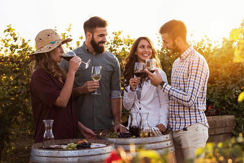 Hunter Valley Highlights Private Wine Tour From Sydney - Sydney Tourism 0