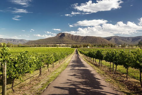 Hunter Valley Highlights Private Wine Tour From Sydney - Sydney Tourism 2