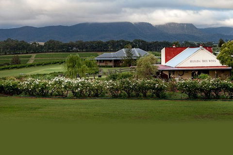 Hunter Valley Highlights Private Wine Tour From Sydney - Sydney Tourism 5