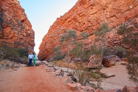 Best Of Alice Springs Full Day Tour - Sydney Tourism 2