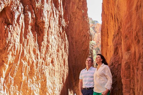 Best Of Alice Springs Full Day Tour - Sydney Tourism 4