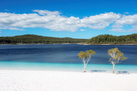 All-Inclusive Fraser Island Day Tour - Sydney Tourism 2